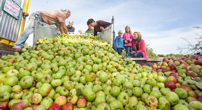 Star­ker Start in die Ernte